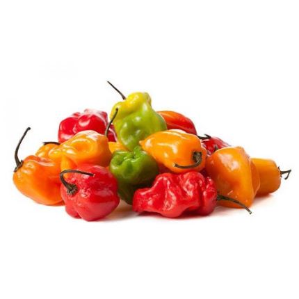 Hot Pepper (African Chilli)02